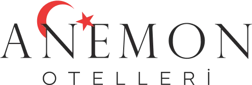 anemon logo